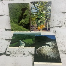 Vintage Postcard Lot Of 4 Hawaiian Lumahai Beach Papaya Tree Wailua River
