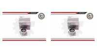 Esen SKV 2X Radnabe Radlagersatz Hinterachse FüR Toyota Picnic RAV 4 I XM1 XM10
