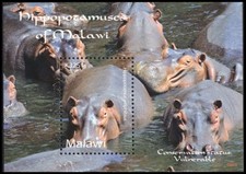 MALAWI 748 - Hippopotamus "Hippopotamus amphibius" S/S (pb45768+)