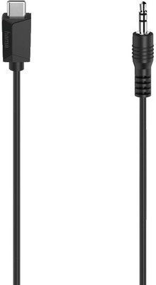 Hama Adapterkabel 200729 USB-C auf 3,5-mm Klinken Stecker 0,75 meter