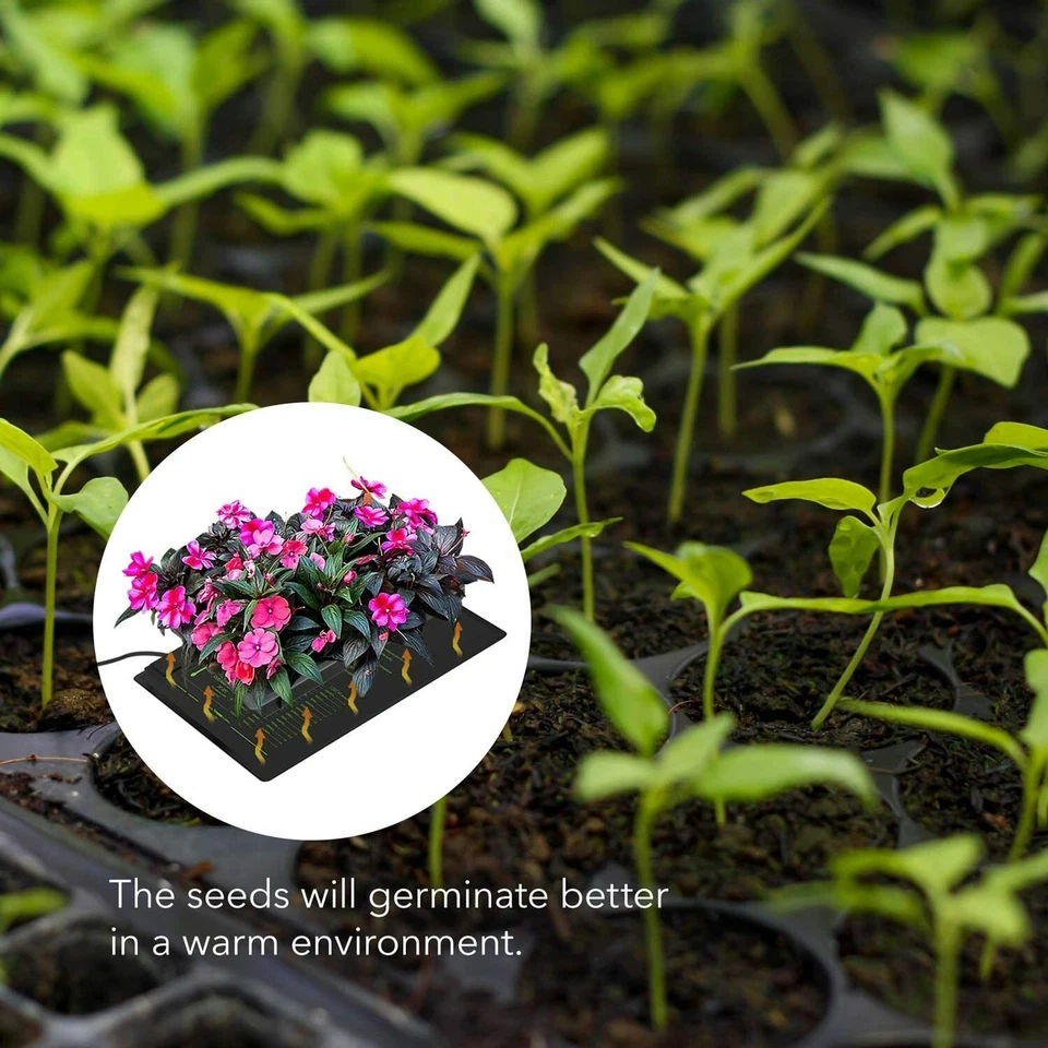 termostato incubadora termostatos para incubadoras digital El mejor facil de usa - Image 4 of 4