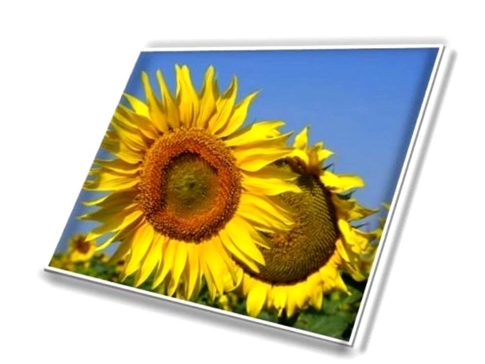 165Hz 17.3" WQXGA IPS Laptop LCD Screen Acer Nitro 17 An17-71 An17-41 An17-51 - Image 4 of 4