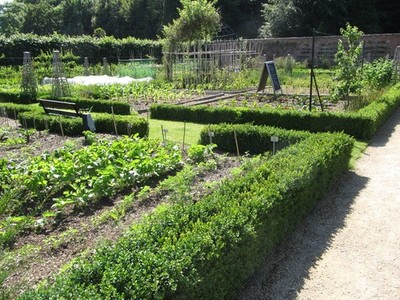 Photo 6x4 Vegetable plot at the Castle Walled Garden, Bangor Bangor/J488 c2017