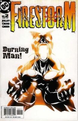 Firestorm (2004) #   2 (9.0-NM)