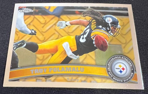 Troy Polamalu #180 card