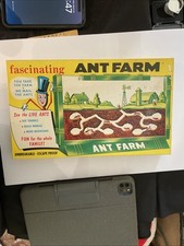 Vintage 1970 Uncle Milton s Fascinating Ant Farm