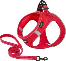 Dog Harness, Breathable Mesh Harness Vest Collar M(chest17.3-18.9), Red 