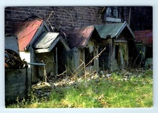 Dogtown Ghetto Art Doghouses Jerry Henricks Indianapolis IN Postcard