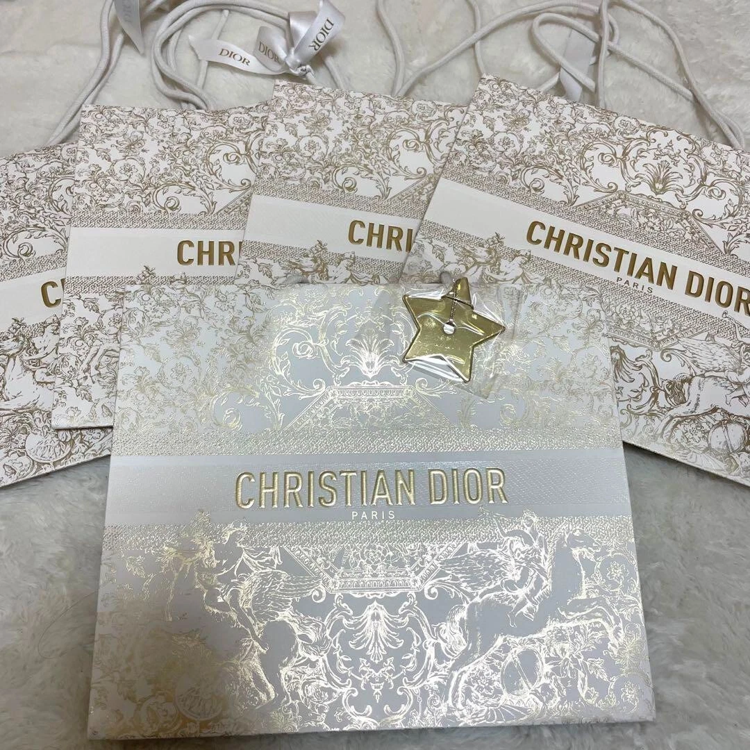 Pack de 5 sacs cadeaux Dior Authentic Holiday 2023 shopping limité charme étoile