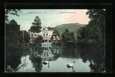 Ansichtskarte Freienwalde A. O., Partie am Papenteich 1910 