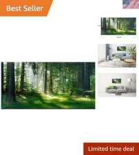Morning Sunlight Forest Canvas Art 24x48 - Modern Green Landscape Decor