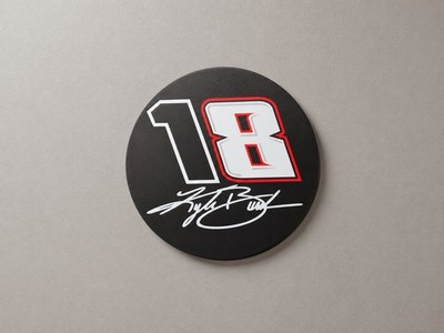 Kyle Busch Lightbox 18 8