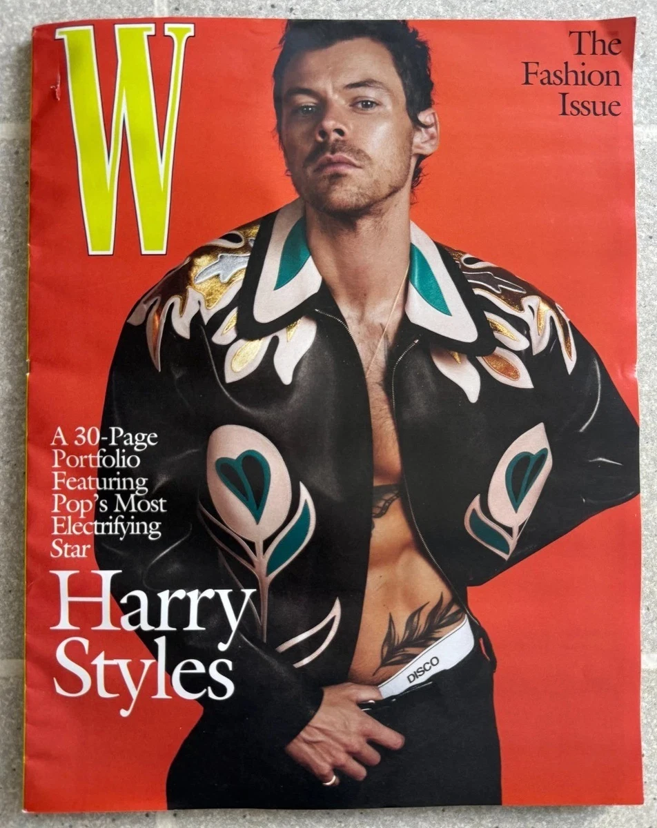 Harry Styles In Art Posters for sale | eBay