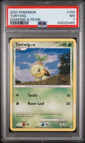 Turtwig graded PSA 7 for sale on eBay