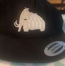 Wooli SnapBack Hat Yupoong 