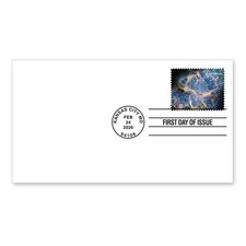 US 6055 Priority Crab Nebula BWP FDC 2026