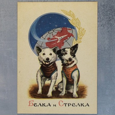 SPACE Dog BELKA and STRELKA Russian dogs cosmonauts Russian postcard USSR 1961 