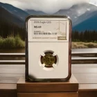 2026 1/10 oz American Gold Eagle Coin $5 NGC MS69