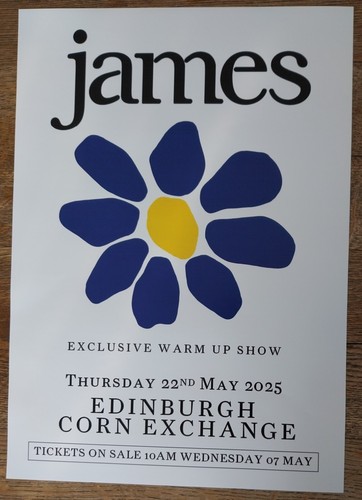 James - live band music show 2025 promotional tour concert gig poster - Picture 2 of 3
