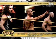 Pete Dunne/Danny Burch/Oney Lorcan 2019 Topps WWE NXT Card #26