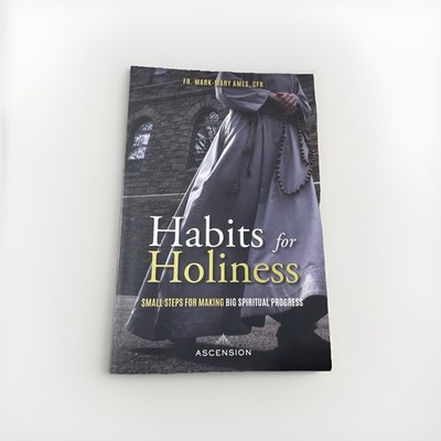 Habits for Holiness: Small Steps for Making Big Spiritual Progress PAPERBACK ...