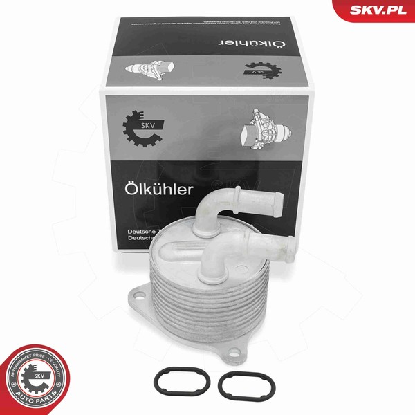 Esen SKV ÖLküHler MotoröL 31SKV374 FüR BMW 2Er Tourer F46 Active F45 X1 F48 X2-image