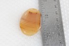 Montana Yellowstone Moss Agate Cabochon Lot C3 — photo 3