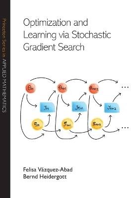 Optimization and Learning via Stochastic Gradient