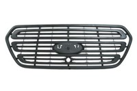 Blic 6502-07-2518990P KüHlergitter FüR Ford
