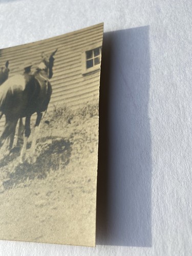 Antique Americana Horses Original Photograph Card Early 1900s. - Picture 3 of 3