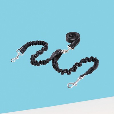  Nylon Dicephalous Dog Training Leine Heavy Duty Durable Buffer Walking Lead für