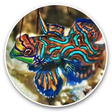 2 x Vinyl Stickers 30cm - Mandarinfish Tropical Madarin Fish #45666