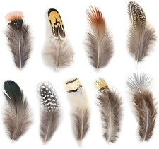 180 Pcs Natural Mixed Feathers   9 Styles for Jewelry, Dream Catchers, Crafts