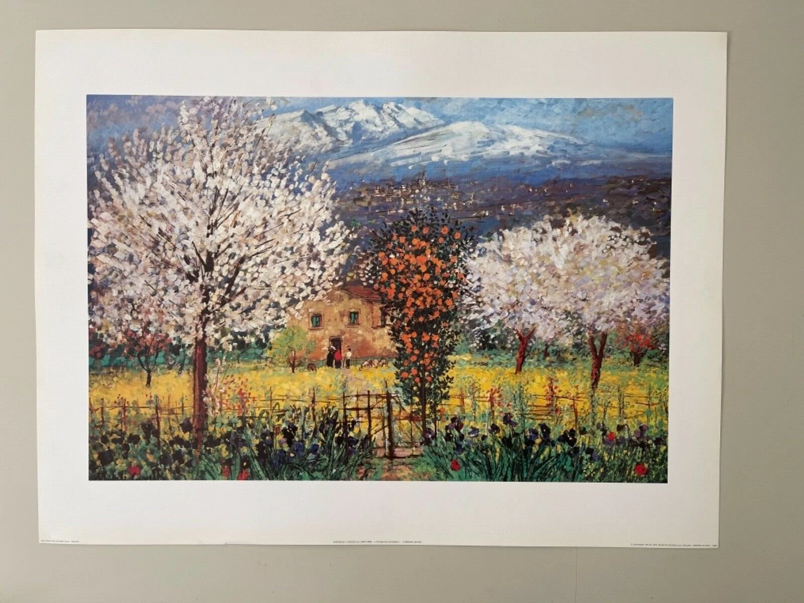 Picture 1 of 8