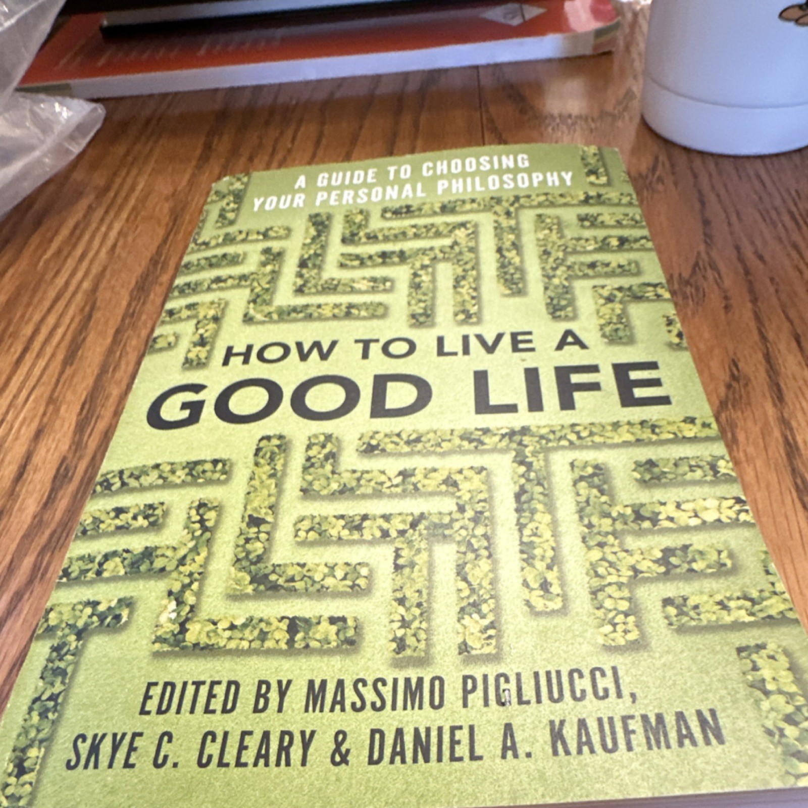 Vintage Books How to Live a Good Life Pigliucci Paperback Philosophy