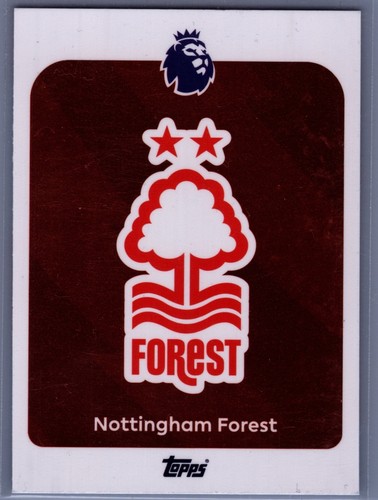 2025 Team Badge #235