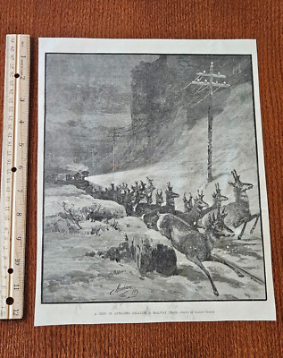 Harper's Weekly 1884 Sketch Print Herd Antelopes Delaying Railway Train Graham