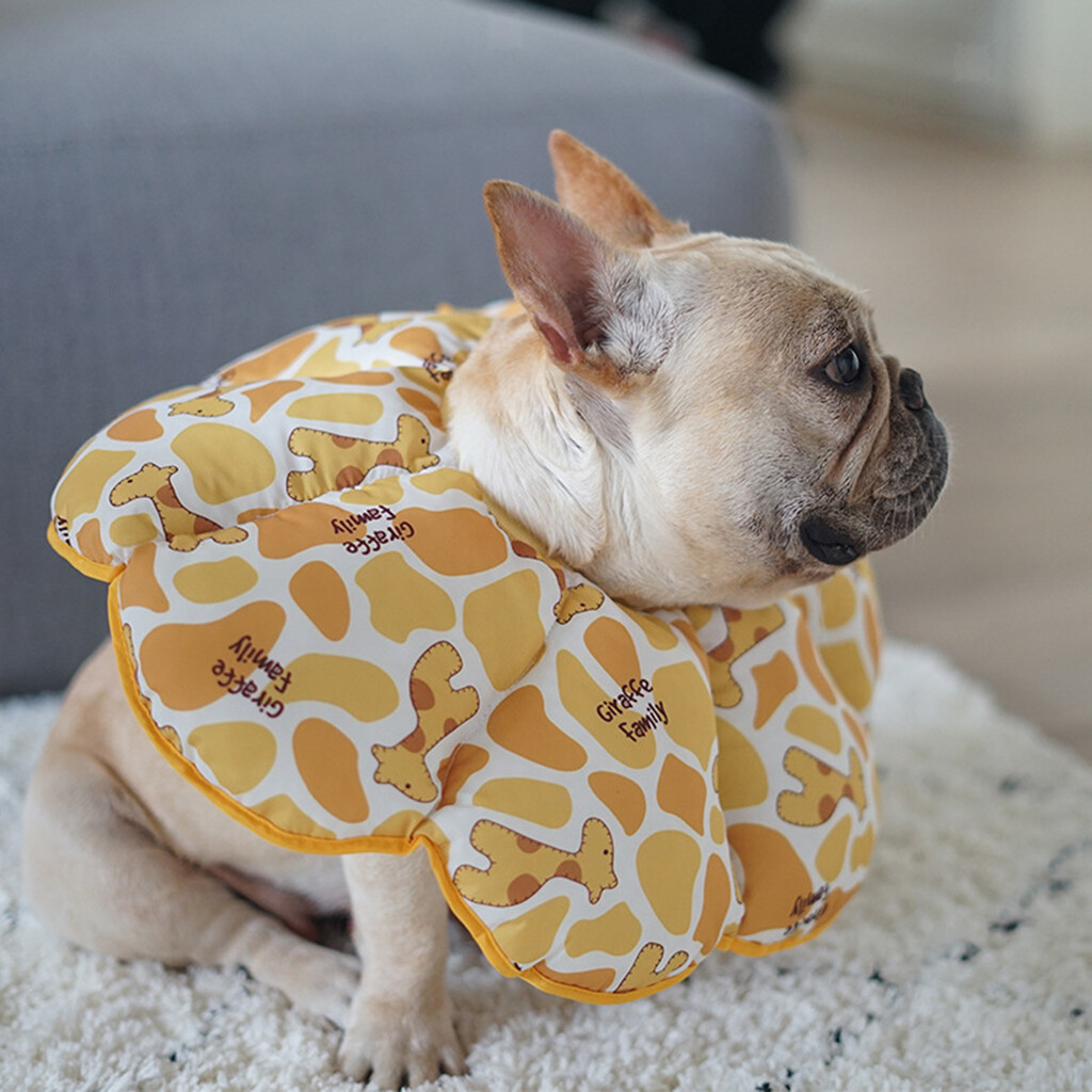 vet one elizasoft recovery collar