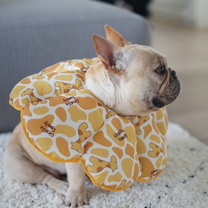 elizabethan dog cone