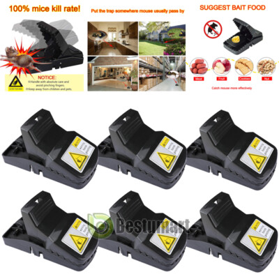 Trampas Para Ratas Los Ratones Mata Raton De Control Plagas Trampa Mouse Traps