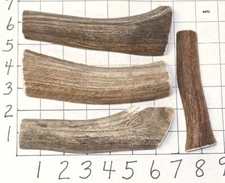4 Split Elk Antler Dog Chew Treats