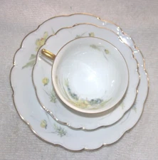 Bareuther Germany  Dessert Set Plate Cup saucer Yellow buttercup Bberry Gold Rim