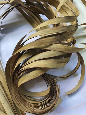 Dried Coconut Leaves Ceylon Organic Brown 100% Natural Palm Leaf Cocos Nucifera
