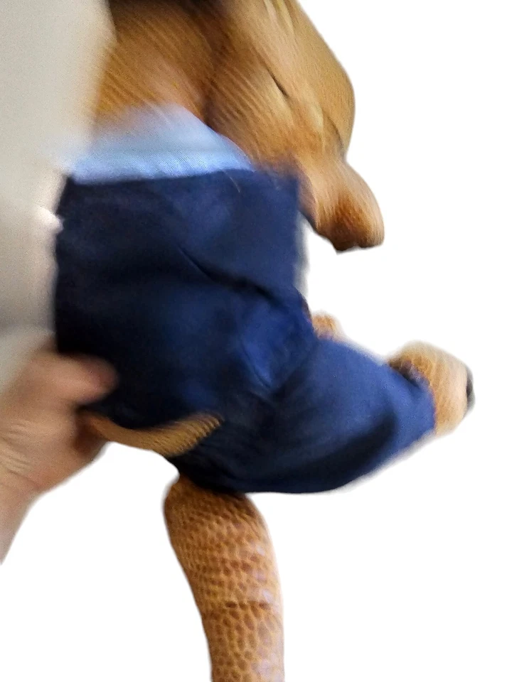 Build A Bear 20" Brown T- Rex Official Jurassic World Plush With Navy Outfit - Image 3 of 4