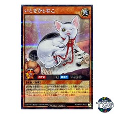 Grace Cat SE RD/AP01-JP022 Devil's Ceremony Yu-Gi-Oh! Rush Duel Japanese