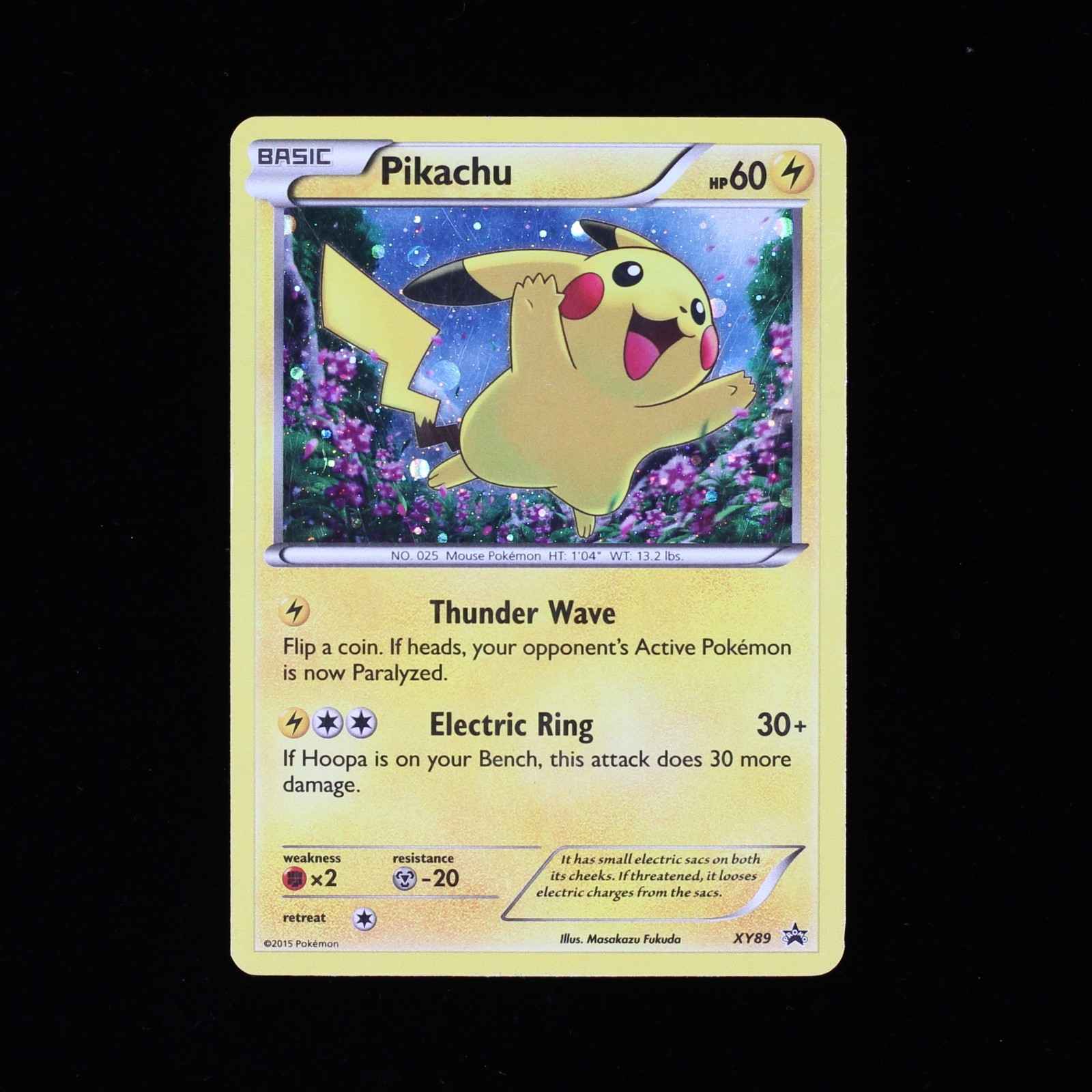 Pokémon TCG  Pikachu Black Star Promos XY89 Holo Card 2015