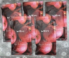Wen By Chaz Dean Fall Fresh Harvest  Cleansing Conditioner 2 Oz Lot Of 5