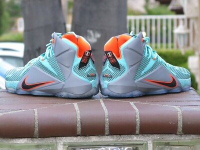 Nike Lebron XII Men's Basketball Sneakers 684593-301 | eBay