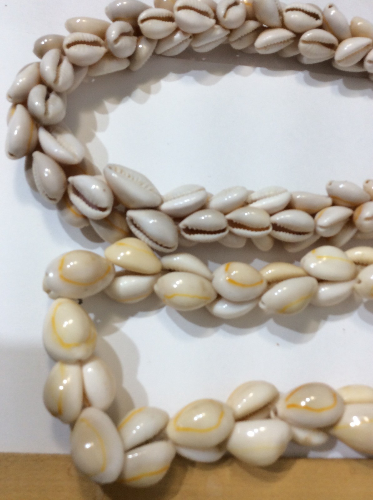 Five Large Seashell Necklaces - image 10