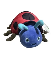 Lady Bug Teddy